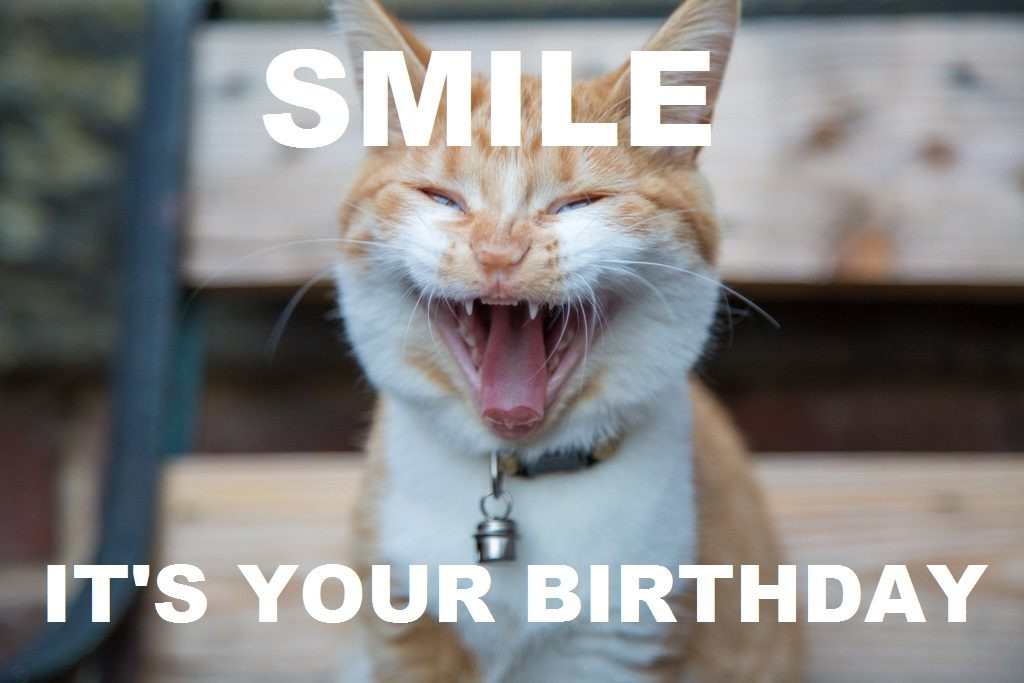Happy Birthday Meme Funny
 Happy Birthday Memes and Funny Messages