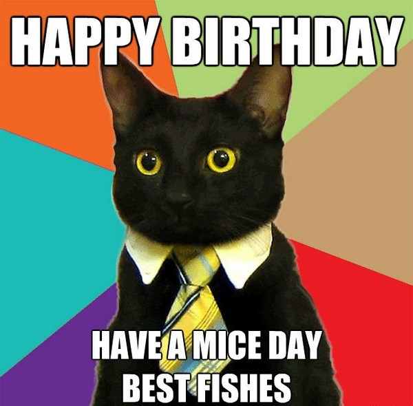Happy Birthday Meme Funny
 Incredible Happy Birthday Memes for you Top Collections