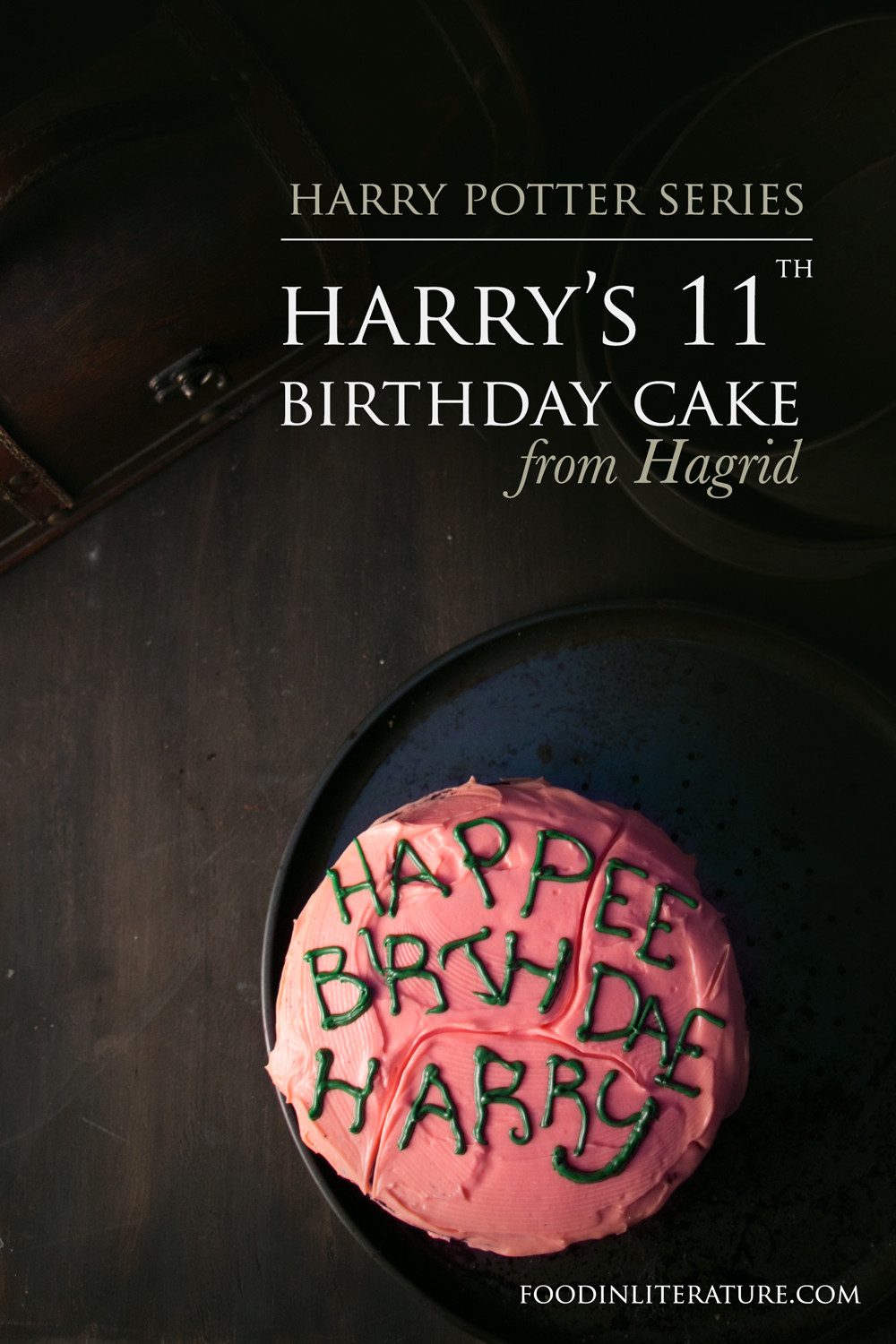 Harry Potter Birthday Cake Recipe
 Harry s 11th Birthday Cake from Hagrid