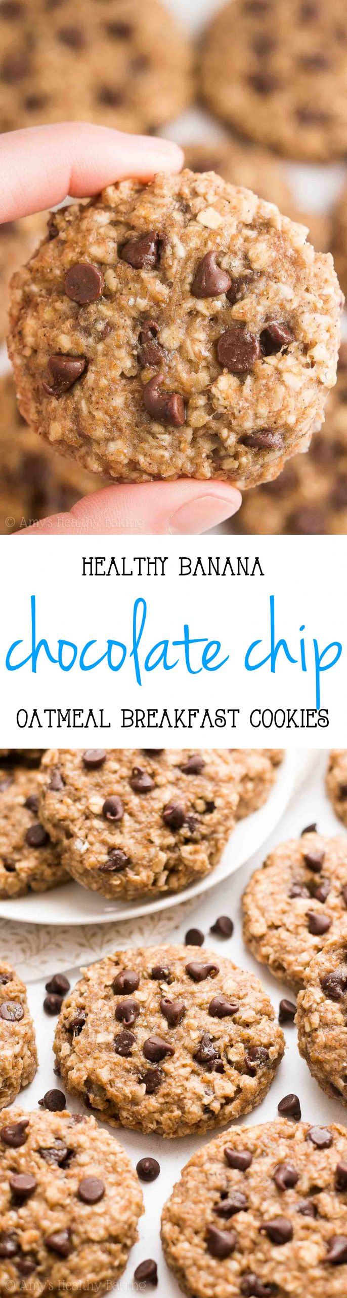 Healthy Banana Chocolate Chip Cookies
 Healthy Chocolate Chip Banana Oatmeal Breakfast Cookies