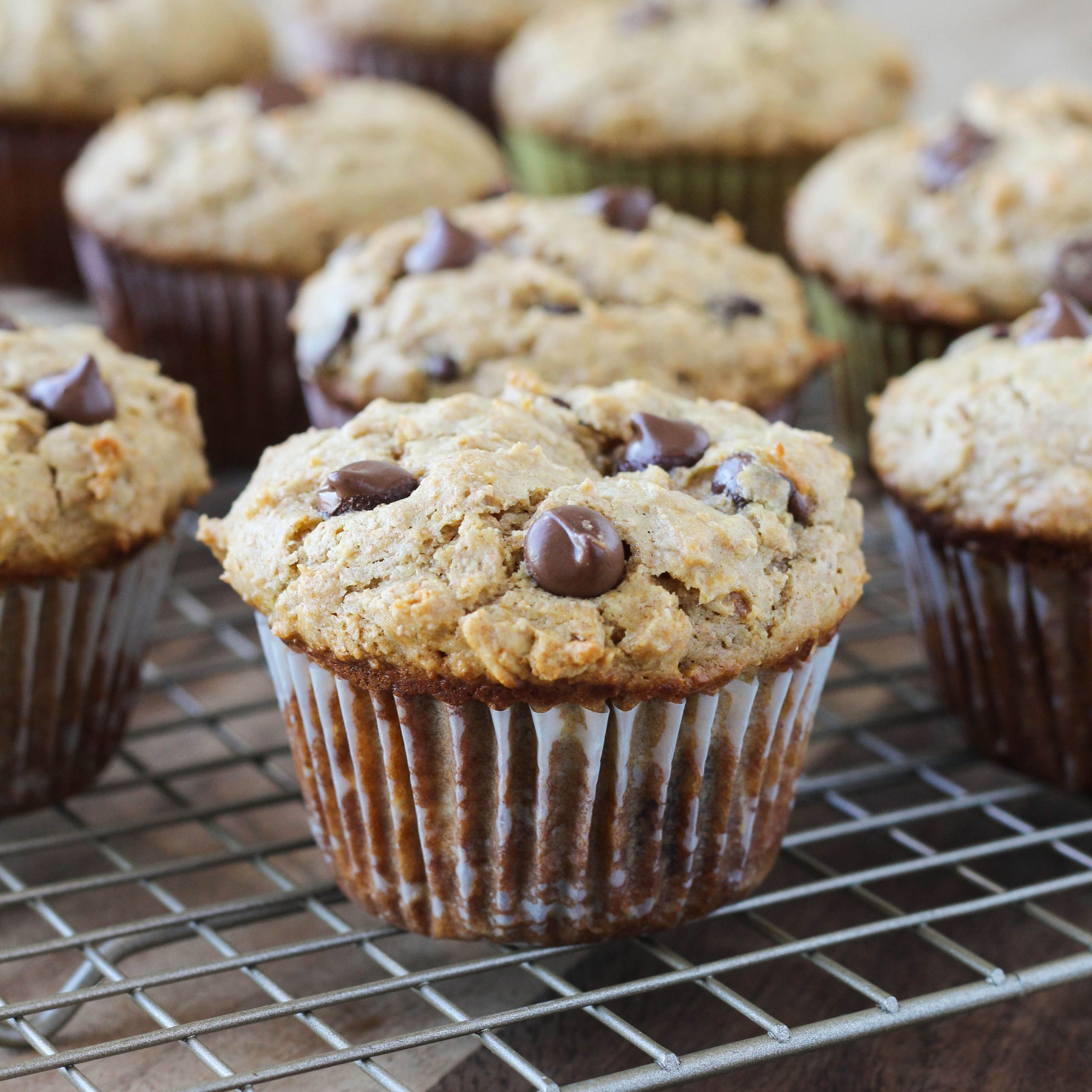 Healthy Chocolate Chip Muffins
 Healthy Peanut Butter Chocolate Chip Muffins