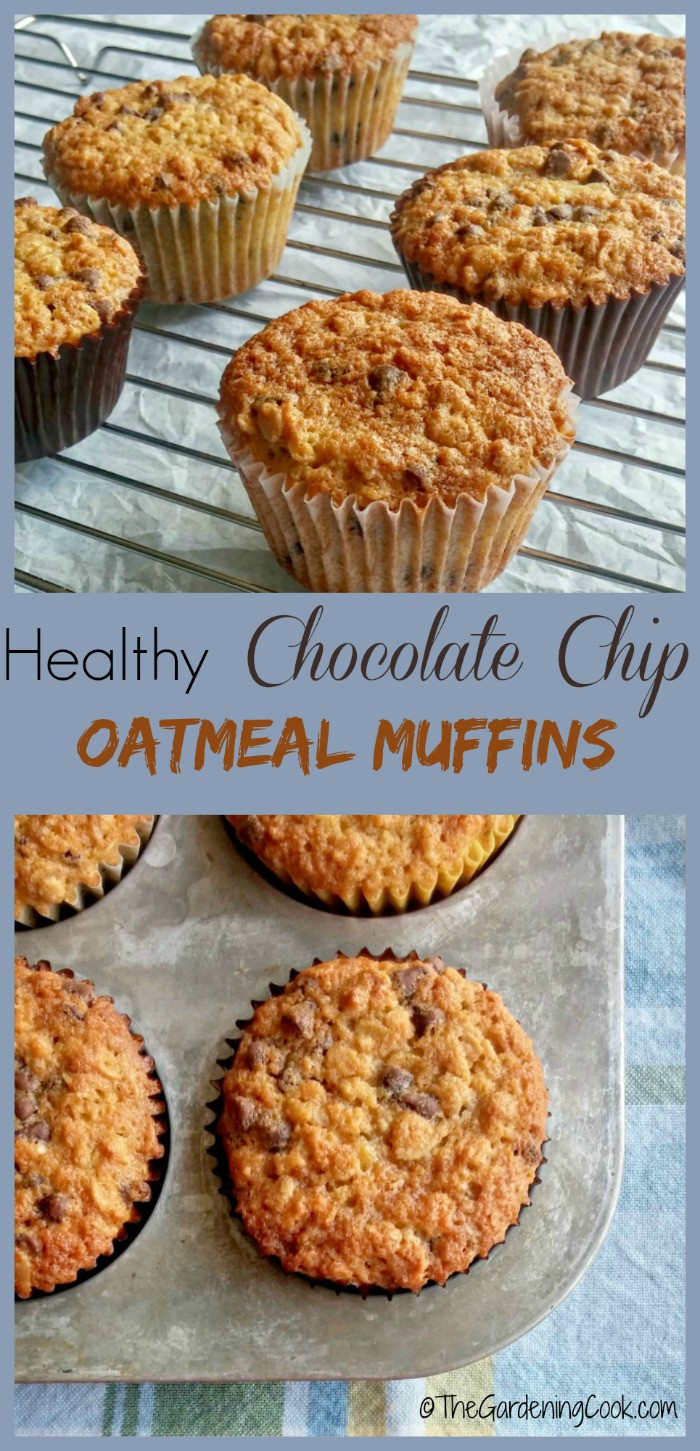 Healthy Chocolate Chip Muffins
 Chocolate Chip Oatmeal Muffins The Gardening Cook