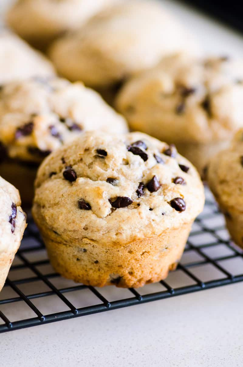 Healthy Chocolate Chip Muffins
 Healthy Chocolate Chip Muffins iFOODreal