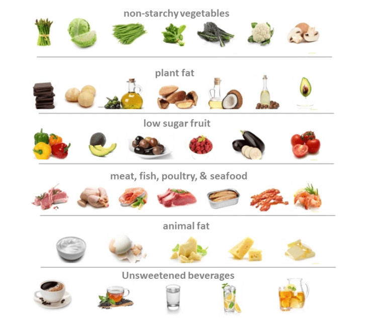 Healthy Fat Snacks
 A Low Carb High Healthy Fat Diet