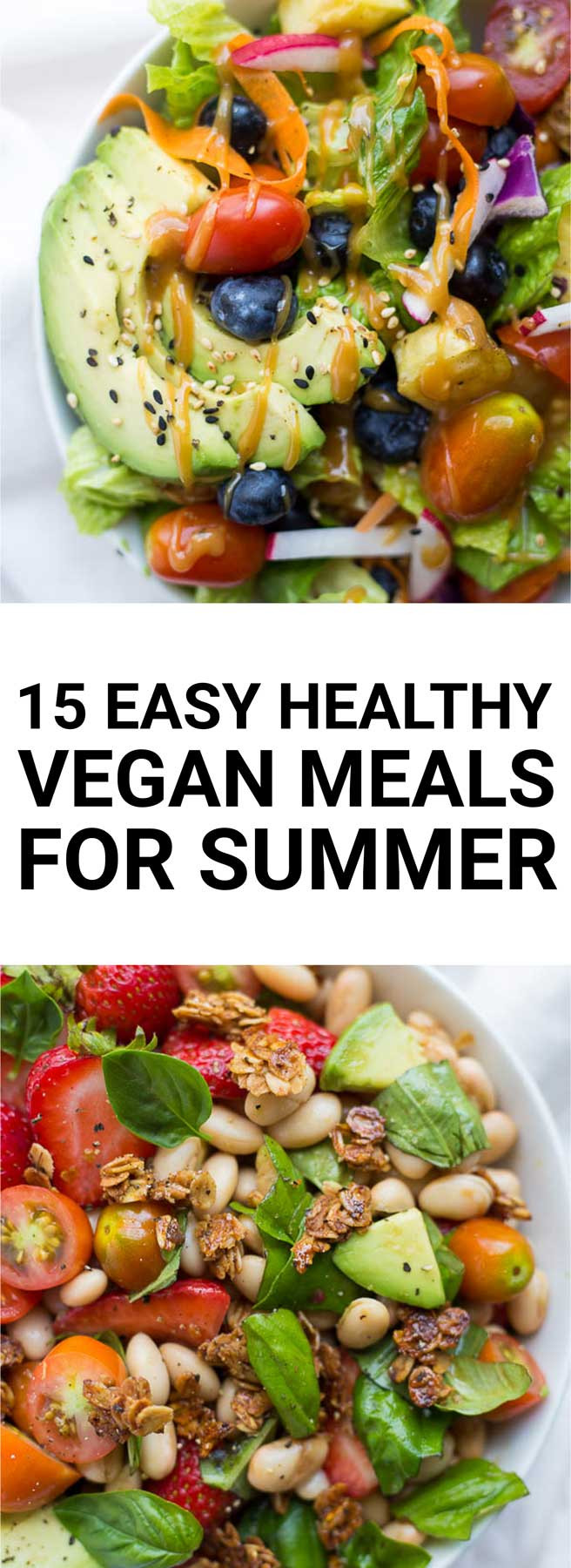Healthy Vegan Recipes
 15 Easy Healthy Vegan Meals for Summer Fooduzzi