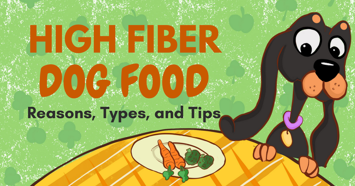 High Fiber Dog Food Recipes
 High Fiber Dog Food Reasons Types & Tips in 2020 With