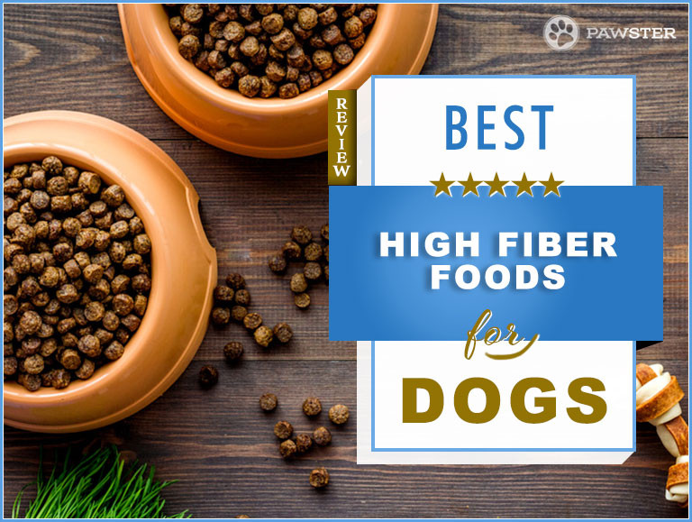 High Fiber Dog Food Recipes
 Top 5 Best High Fiber Dog Foods Re mended by Pawster