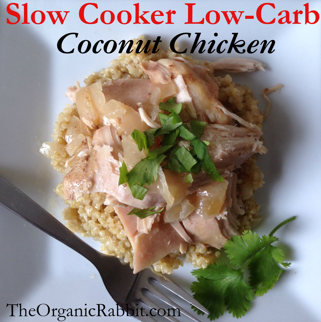 High Protein Low Carb Slow Cooker Recipes
 paleo low carb protein coconut chicken slow cooker weight