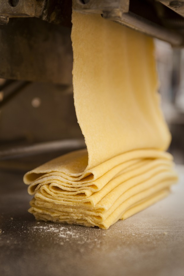 Homemade Pasta Dough Recipe
 Basic Pasta Dough Recipe database