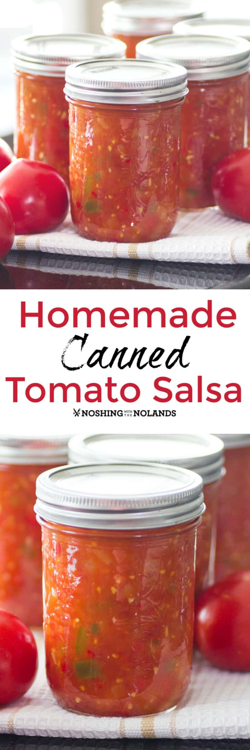 Homemade Salsa Recipe For Canning
 Homemade Canned Tomato Salsa is the best with fresh summer
