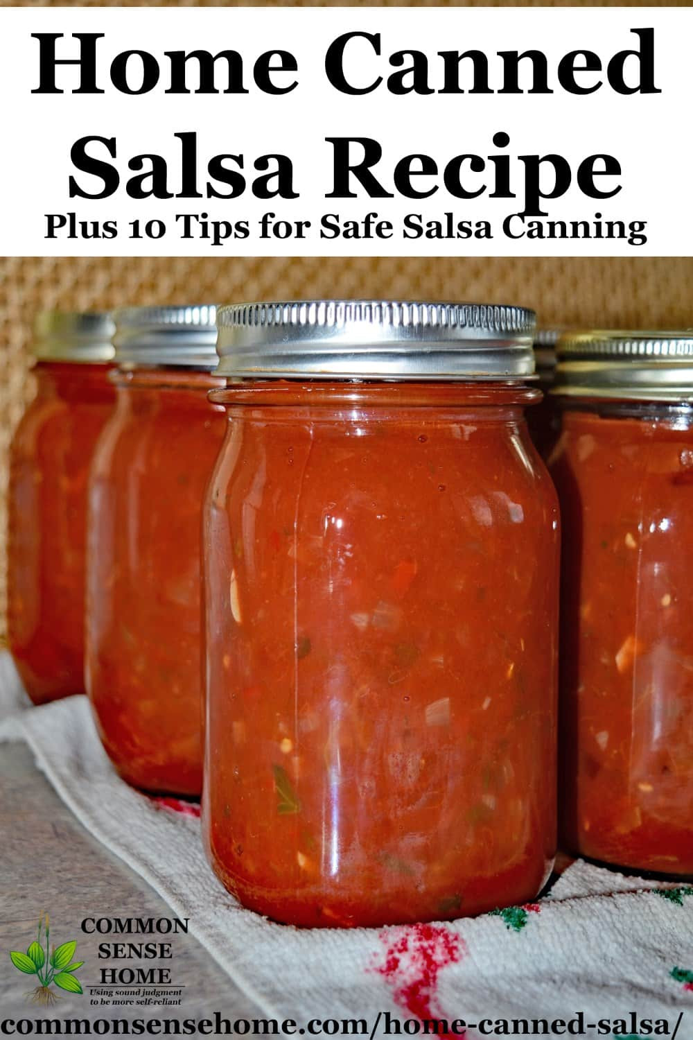 Homemade Salsa Recipe For Canning
 Home Canned Salsa Recipe Plus 10 Tips for Canning Salsa