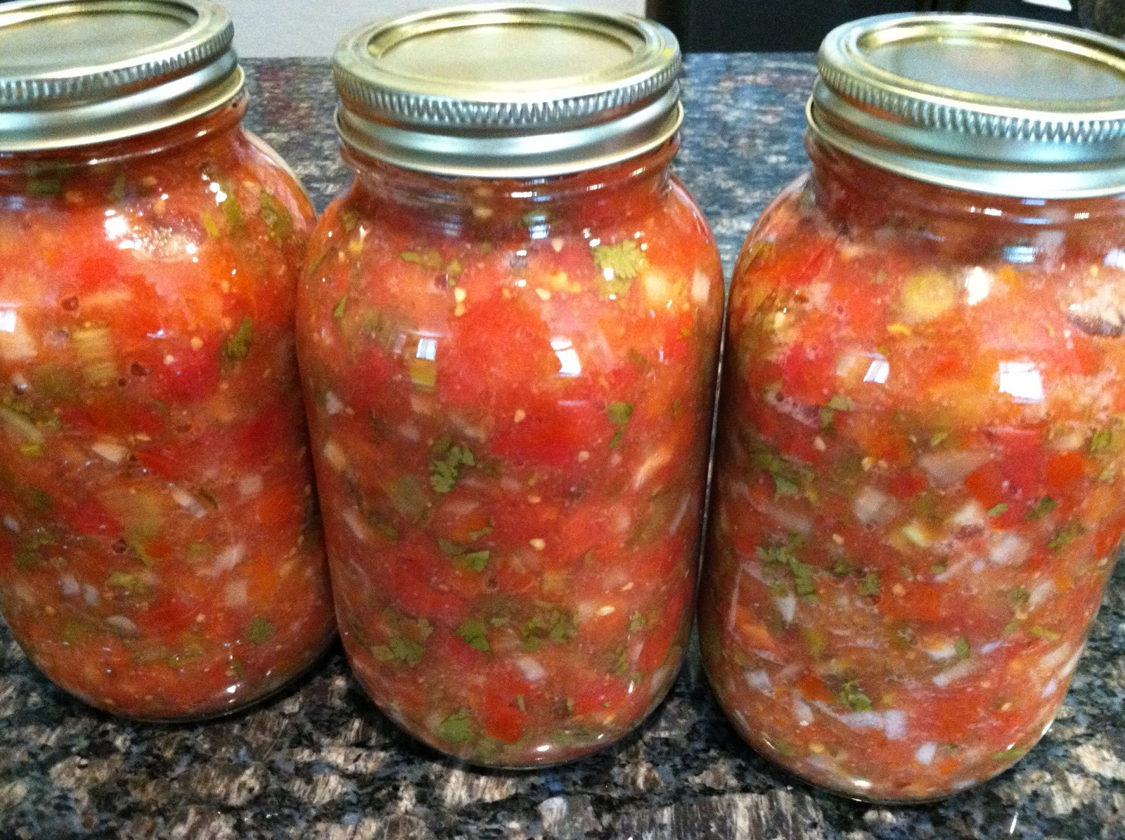 Homemade Salsa Recipe For Canning
 seeshellspace Homemade Salsa Canned