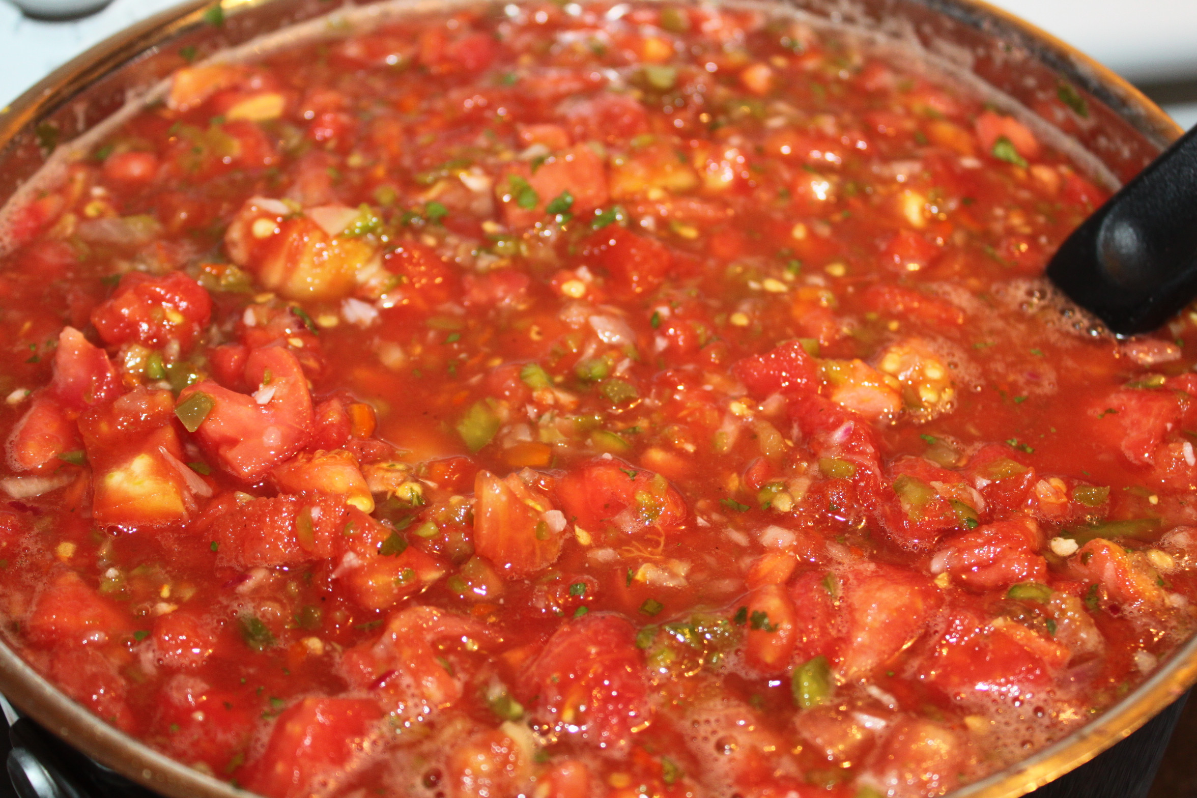 Homemade Salsa Recipe For Canning
 Summertime Salsa Recipe – Fresh Canned To Enjoy All