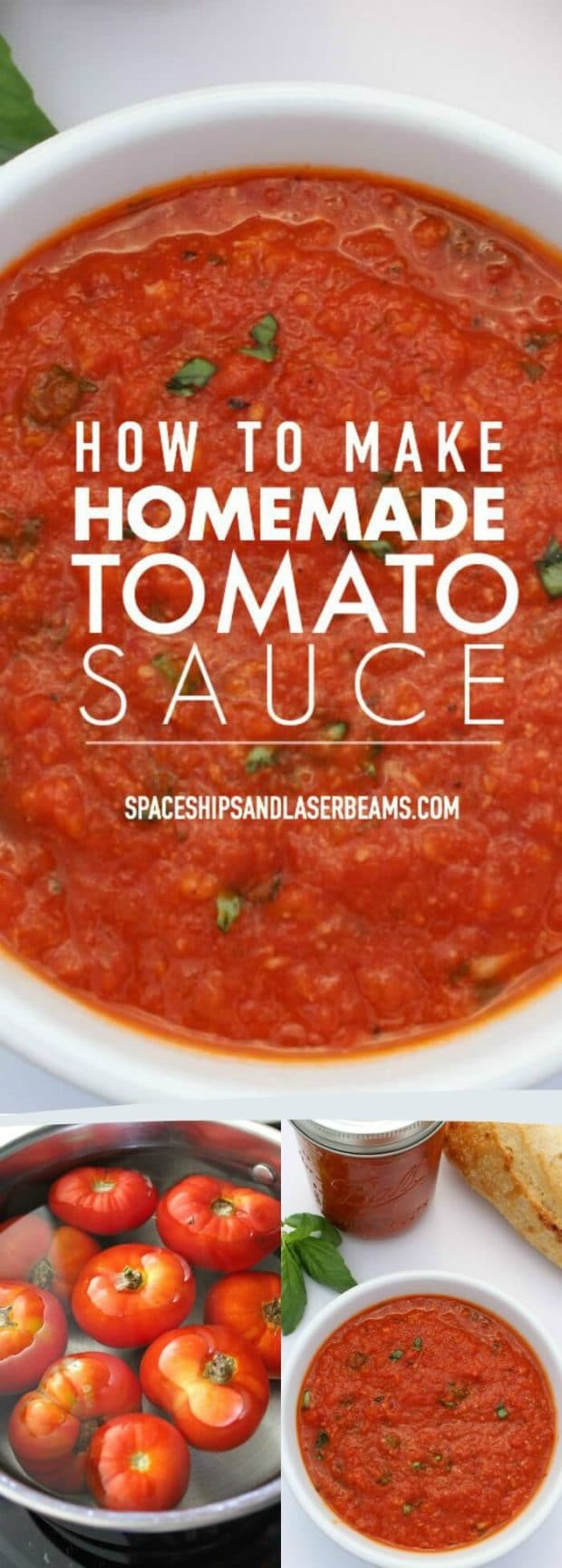 Homemade Tomato Sauce Recipe
 How to Make Homemade Tomato Sauce Spaceships and Laser Beams