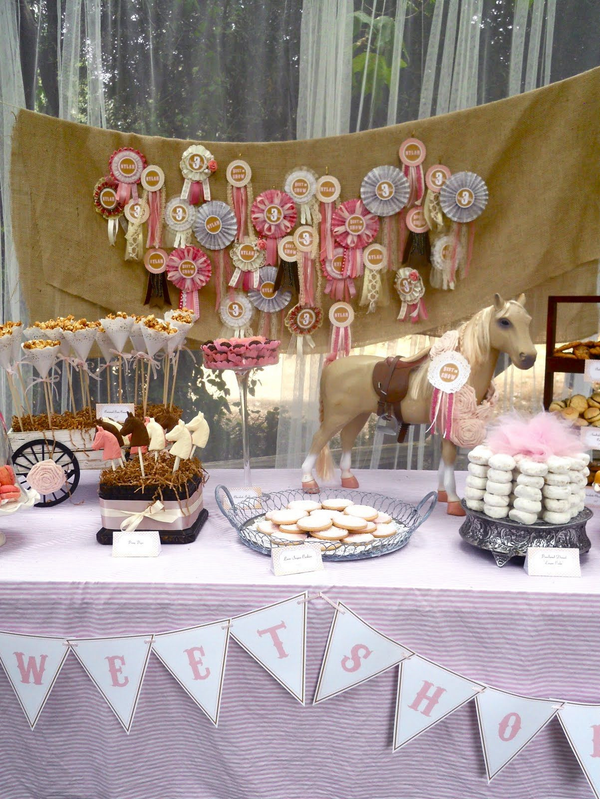 Horse Birthday Party Decorations
 Outdoor party