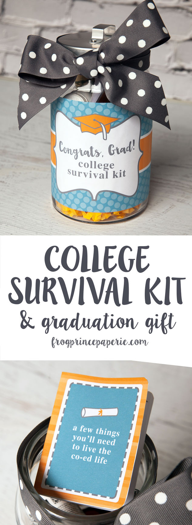 Ideas For A High School Graduation Gift
 College Survival Kit DIY Graduation Gift Frog Prince Paperie