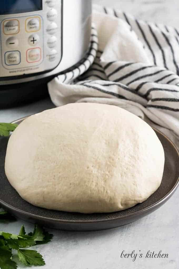 Instant Pot Pizza Dough
 How to Proof Dough in the Instant Pot