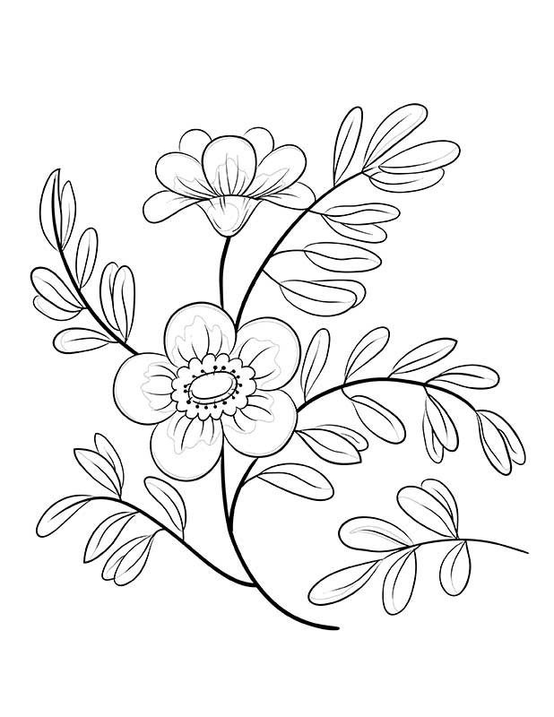 Interactive Coloring Pages For Adults
 Interactive Coloring Pages For Adults at GetColorings