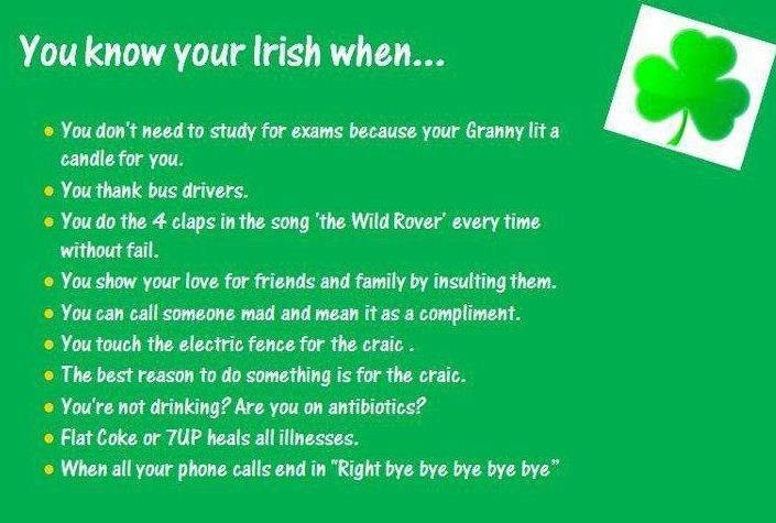 Irish Birthday Wishes Funny
 Funny Irish Birthday Quotes QuotesGram