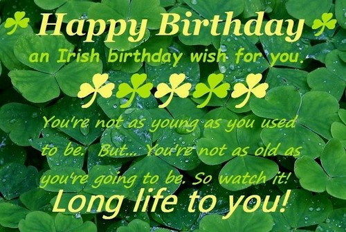 Irish Birthday Wishes Funny
 35 Irish Birthday Wishes