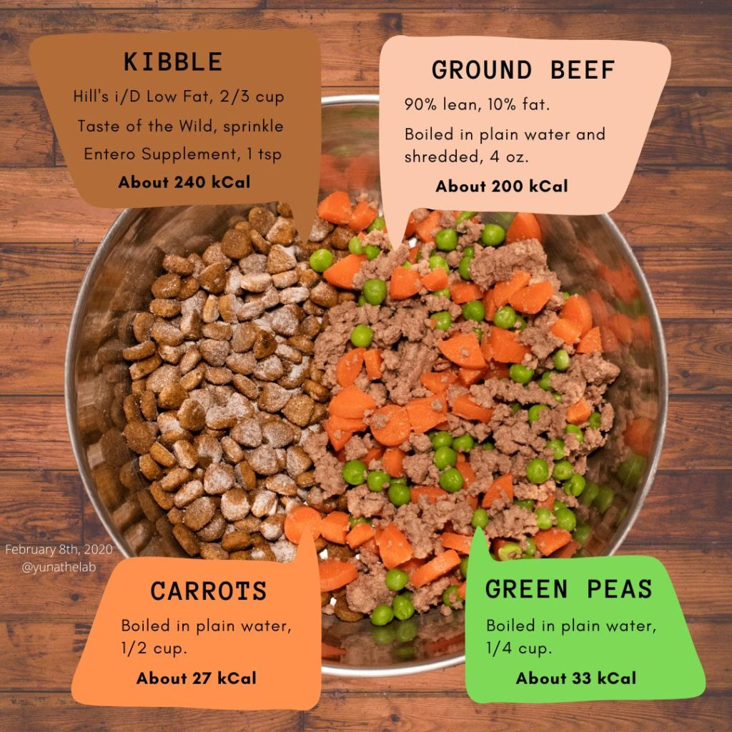 Is Ground Beef Good For Dogs
 4 Easy Dog Food Recipes ANYONE Can Make Bonus Steak Recipe