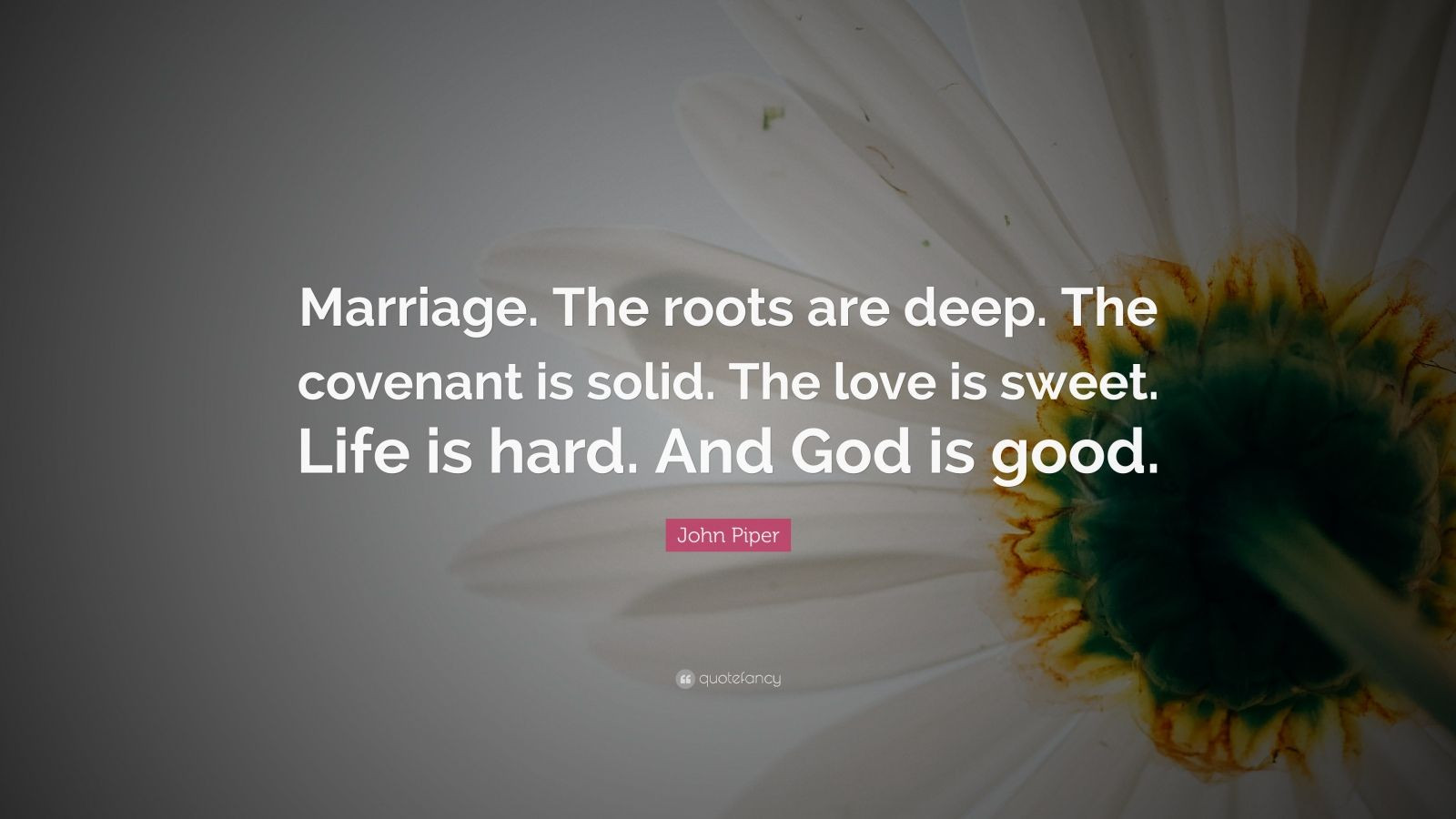 John Piper Marriage Quotes
 John Piper Quote “Marriage The roots are deep The