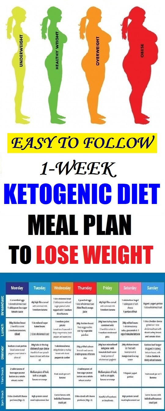 Keto Diet Planner
 Easy To Follow e Week Ketogenic Diet Meal Plan To Lose