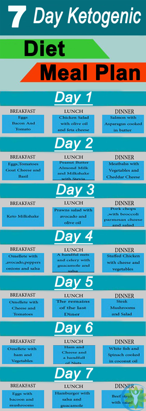 Keto Diet Planner
 Ketogenic Diet – 7 Day Ketogenic Diet Meal Plan