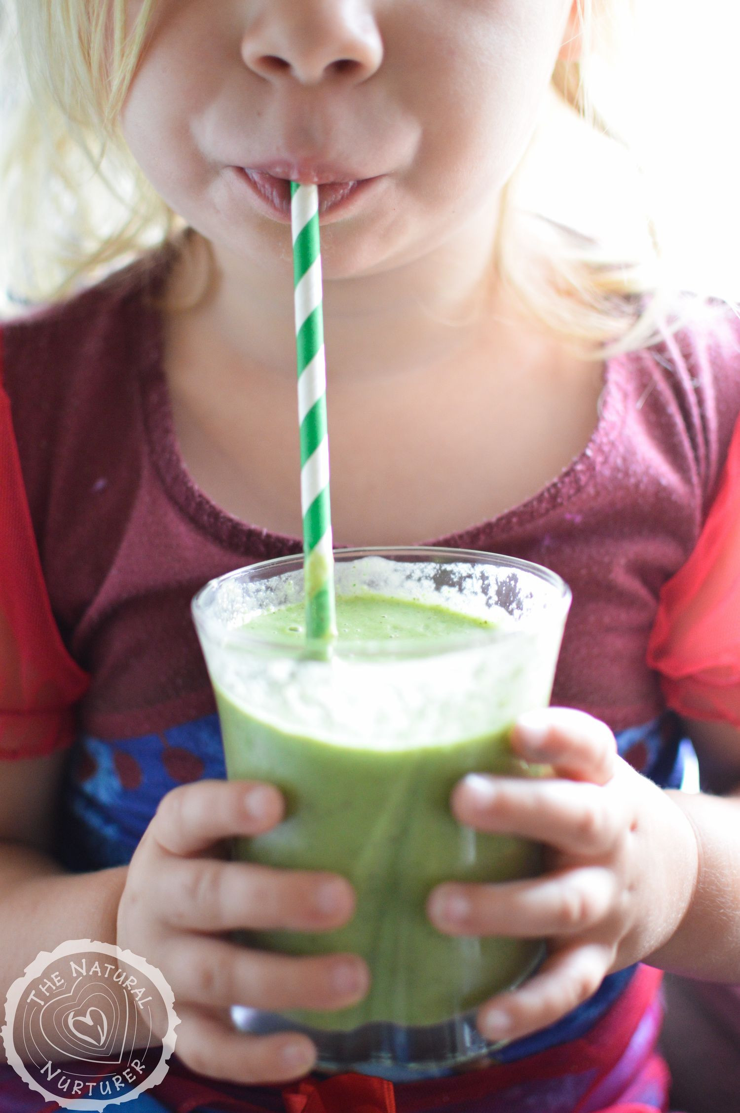 Kid Friendly Smoothie Recipes
 How to Introduce Your Child to Smoothies 15 Kid Friendly