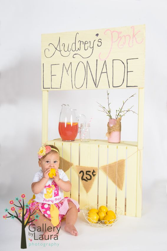 Kids Birthday Party Charleston Sc
 Daniel Island family photography Homemade lemonade stand