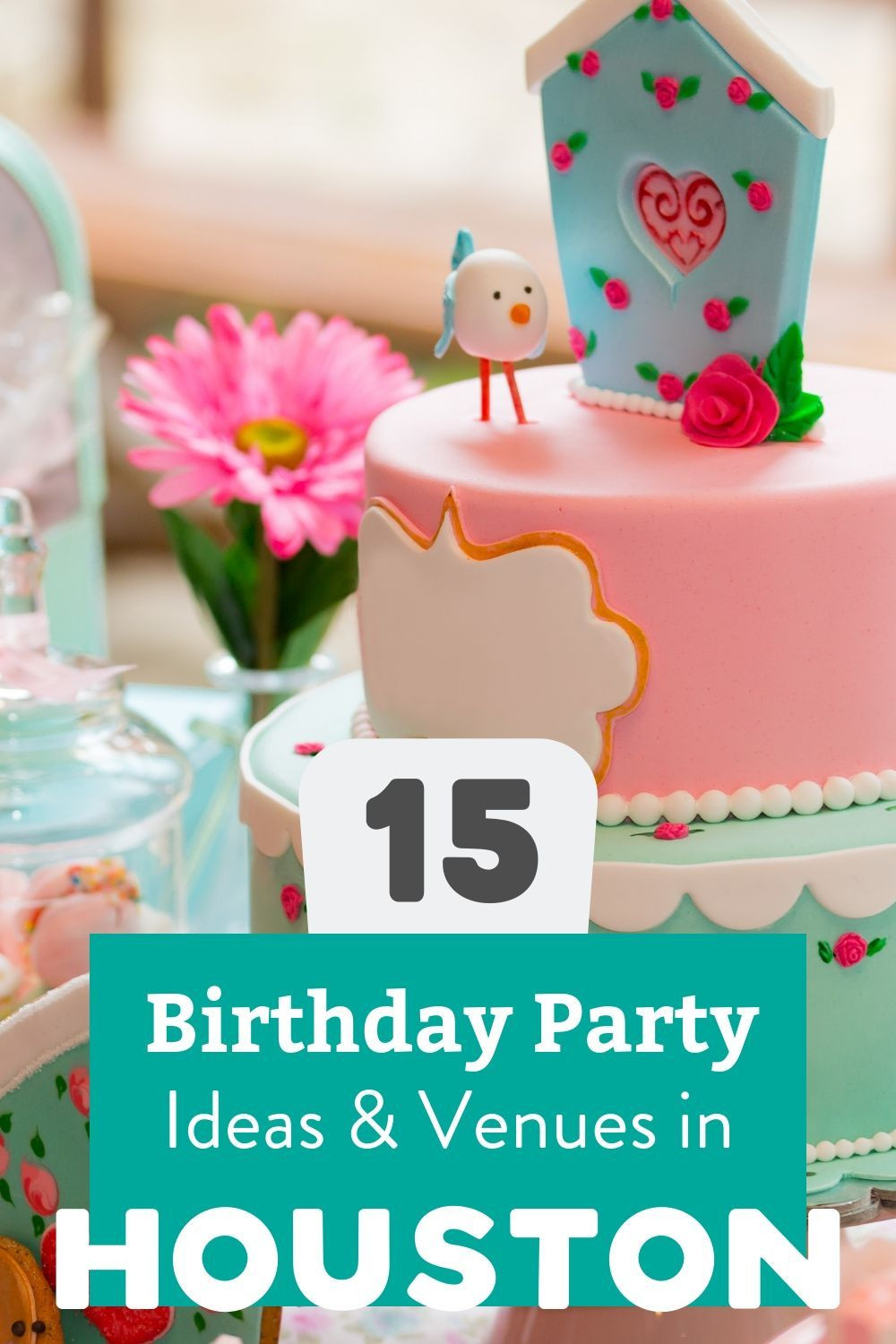 Kids Birthday Party Places Houston
 15 Great Kids Birthday Party Ideas & Venues in Houston