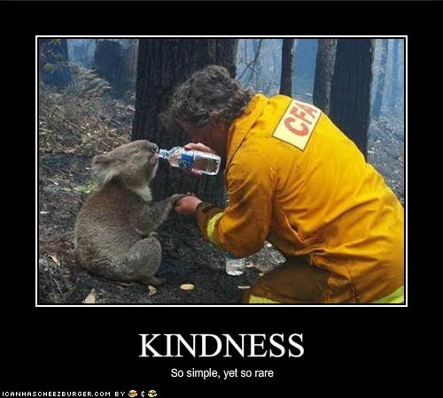 Kindness To Animals Quotes
 Inspiration lawyers4animals weebly lawyers4animals