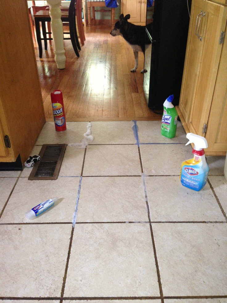 Kitchen Floor Grout Cleaner
 I tried four methods to clean the grout on my kitchen