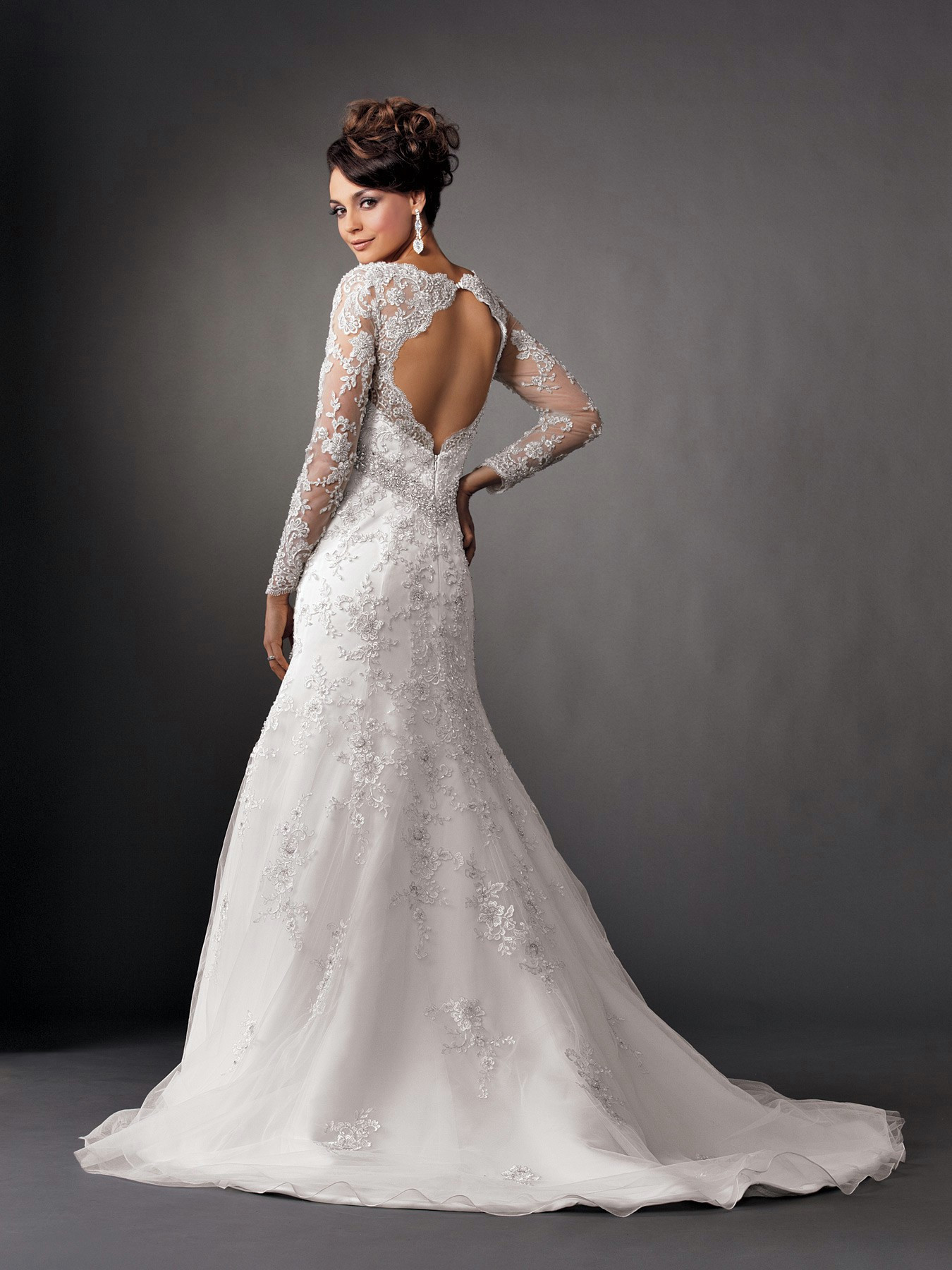 Lace Wedding Gown With Sleeves
 2014 2015 Wedding Dress Trends Lace Sleeves