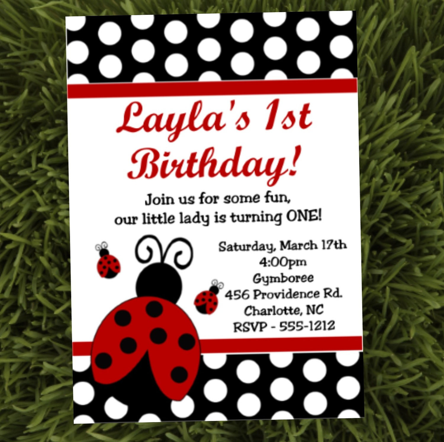 Ladybug Birthday Invitations
 Ladybug Birthday Party Invitations Printable or Printed