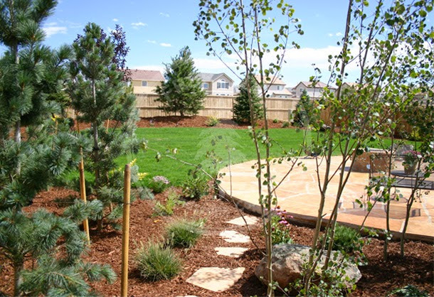 Landscape Design Denver
 My Landscape Ideas Boost landscape design denver