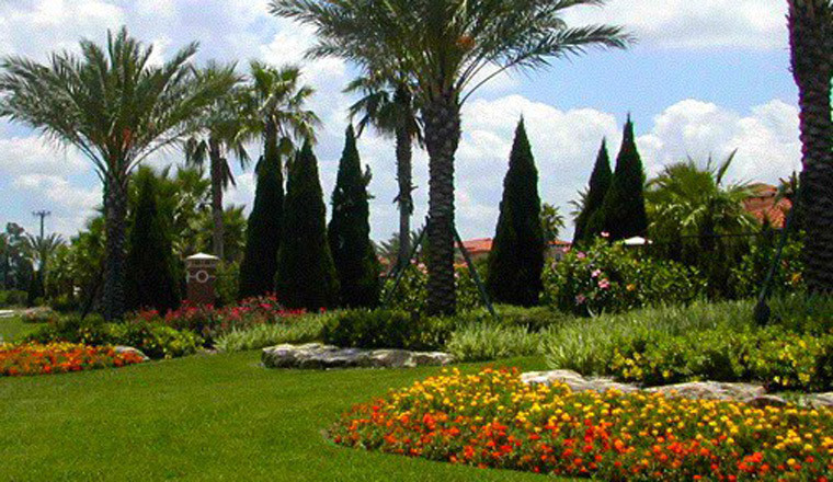 Landscape Design Orlando
 Orlando Landscape Design