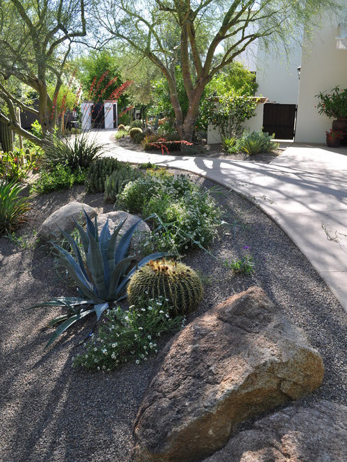 Landscape Design Phoenix
 Phoenix Front Yard Landscape Ideas Designs Remodels & s