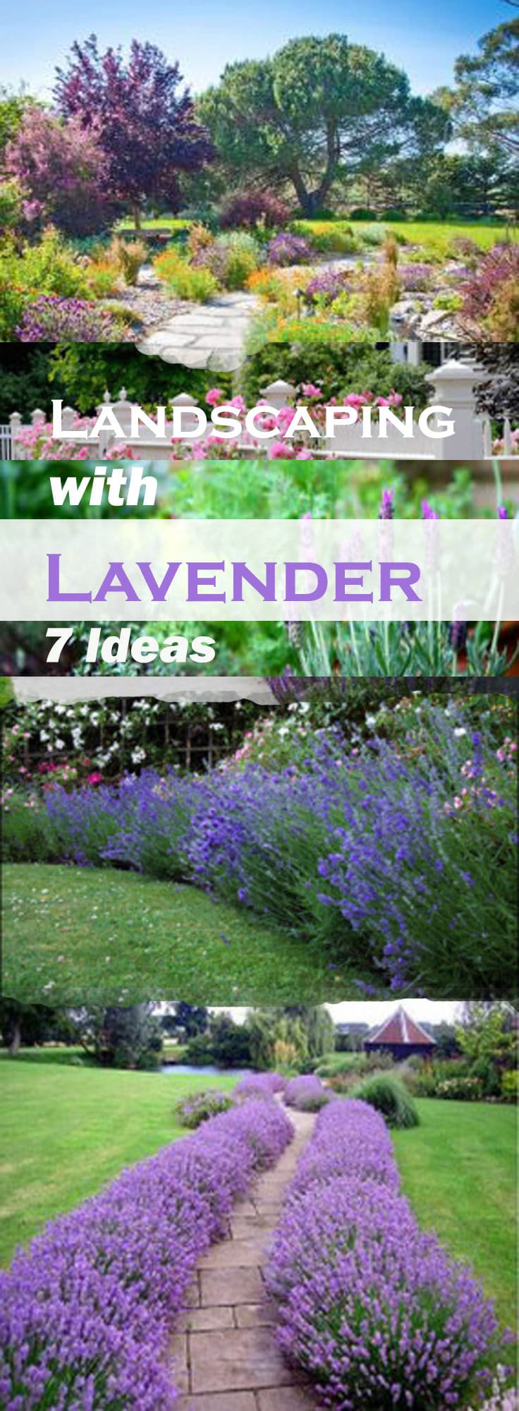 Landscape Design Plans Backyard
 Landscaping with Lavender