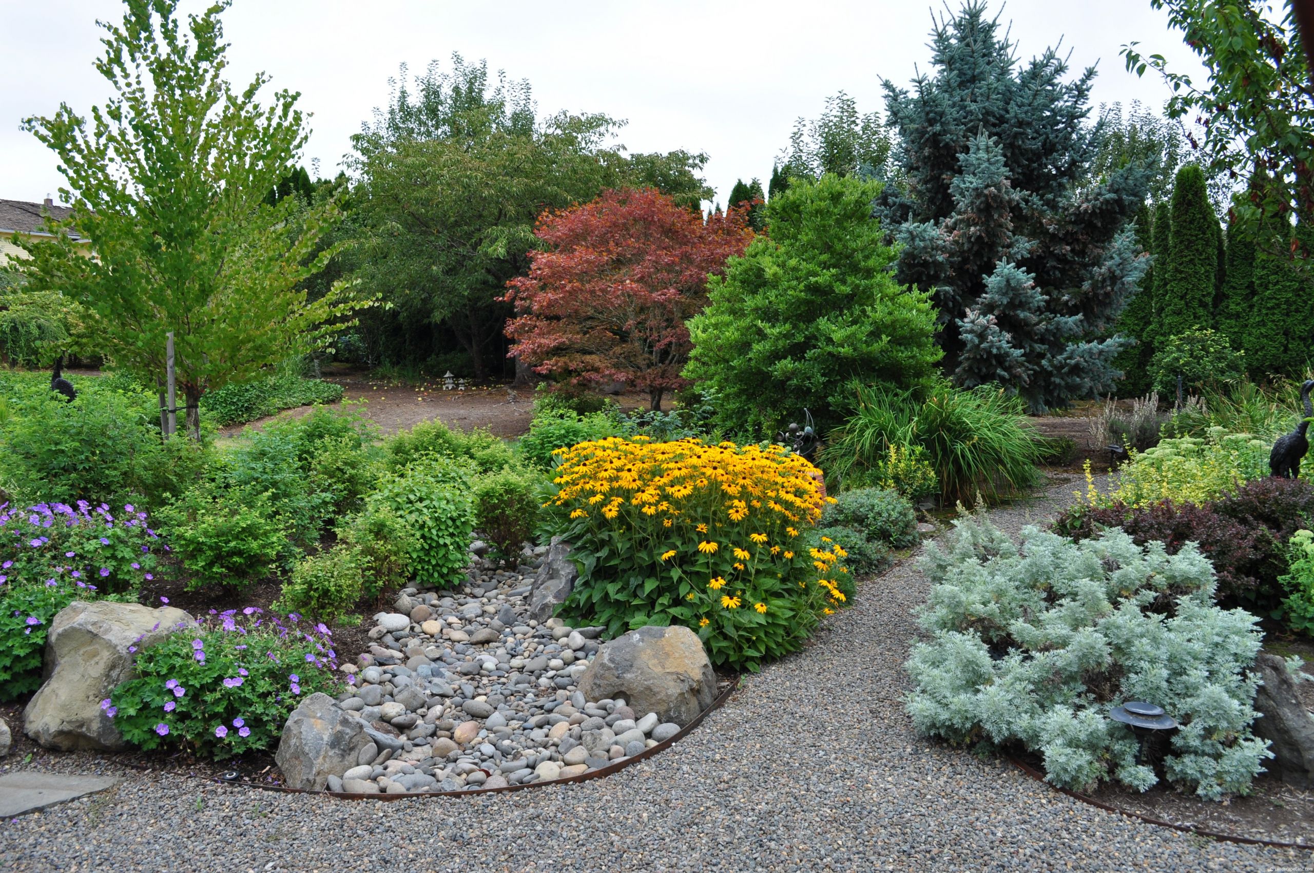 Landscape Design Portland
 Portland Landscaping Soggy Lawns