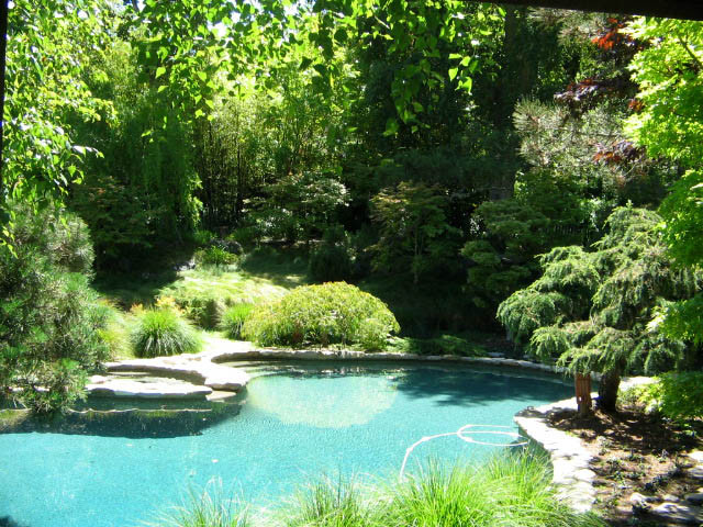 Landscape Design Portland
 Portland Oregon Landscape Design & Plan Planting