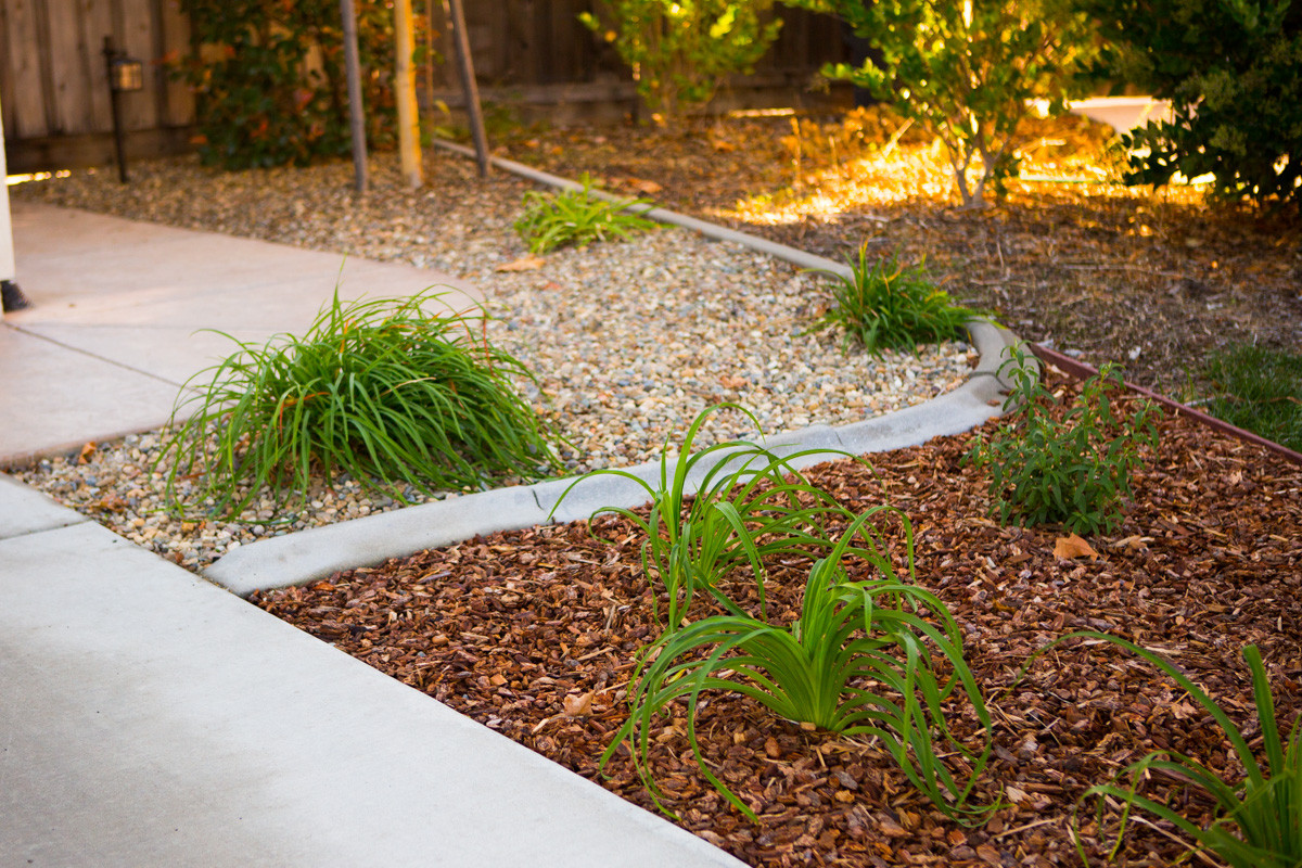 Landscape Design Sacramento
 Sacramento Landscape Design – FiveSTAR Landscape