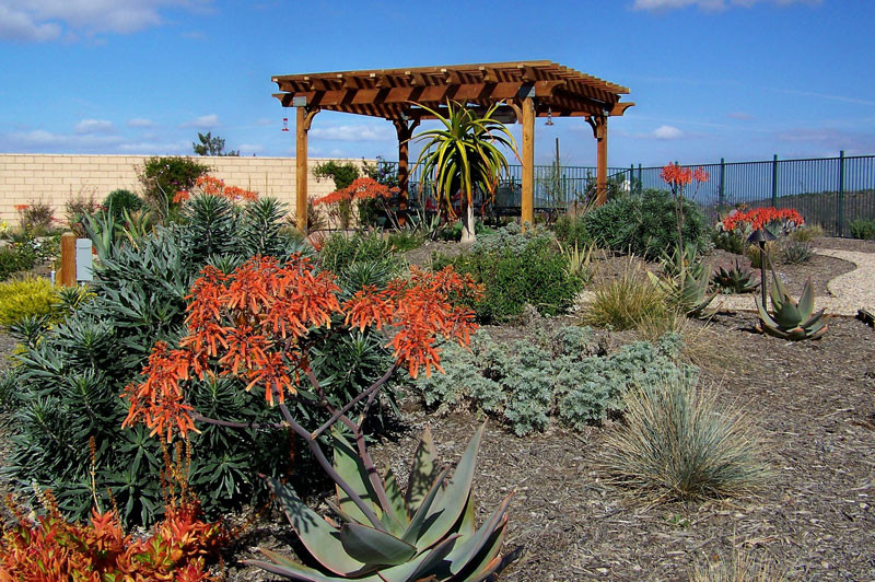 Landscape Design San Diego
 Landscape Designer San Diego