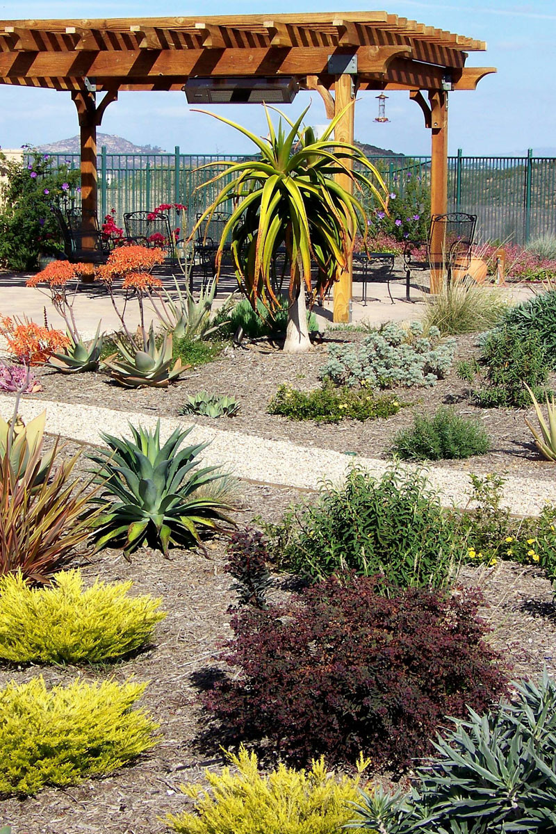 Landscape Design San Diego
 Landscape Designer San Diego