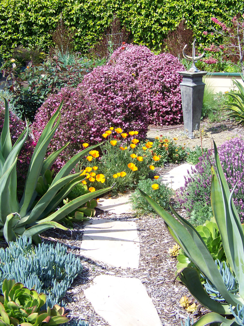 Landscape Design San Diego
 Garden Landscape Designer San Diego Landscaping with