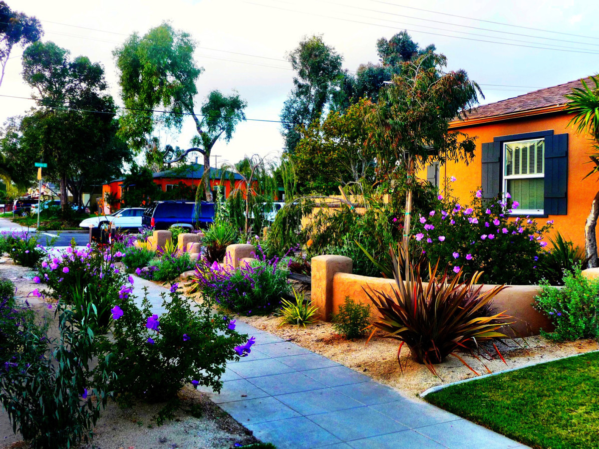 Landscape Design San Diego
 Nature s Elements Landscaping San Diego Landscape