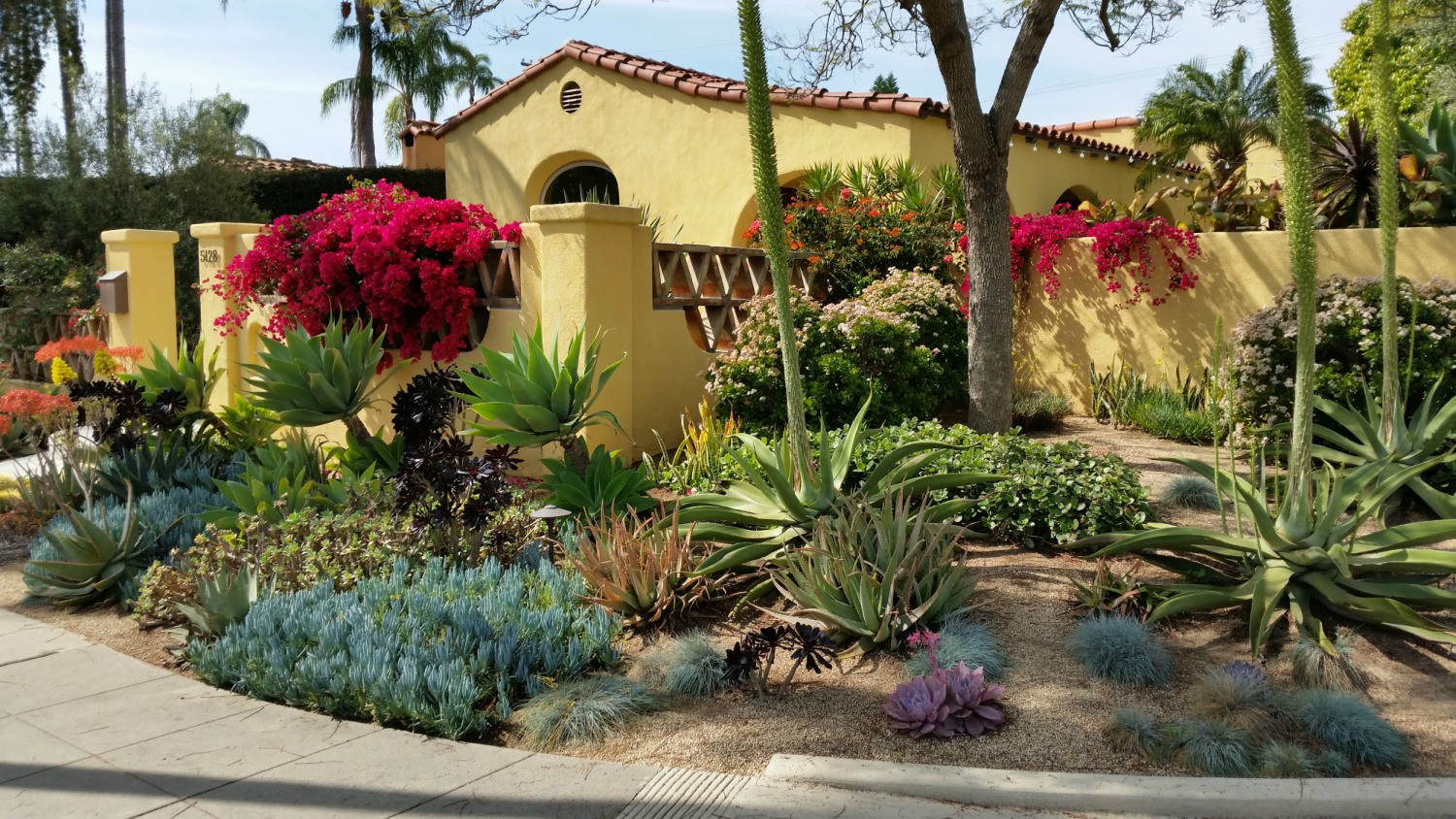 Landscape Design San Diego
 Garden Landscape Designer San Diego Landscaping with