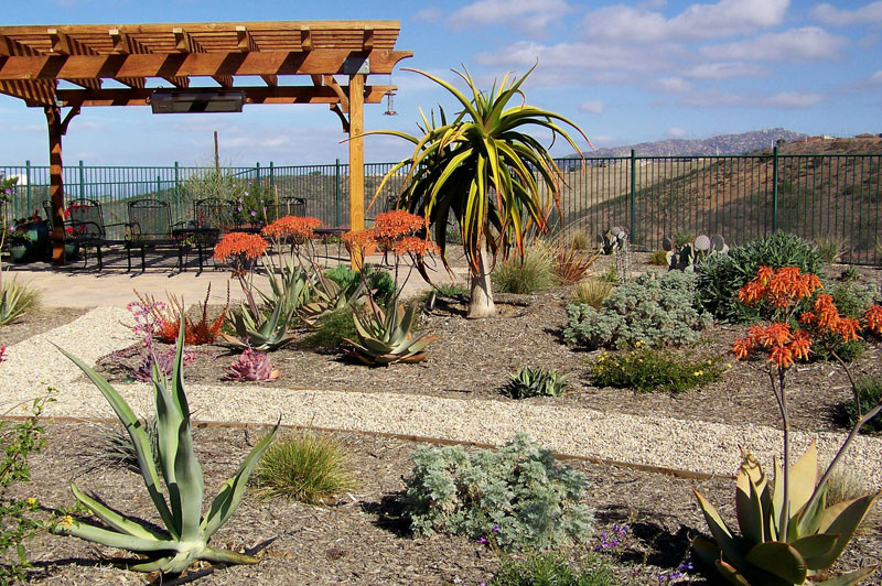 Landscape Design San Diego
 Landscape Designer San Diego