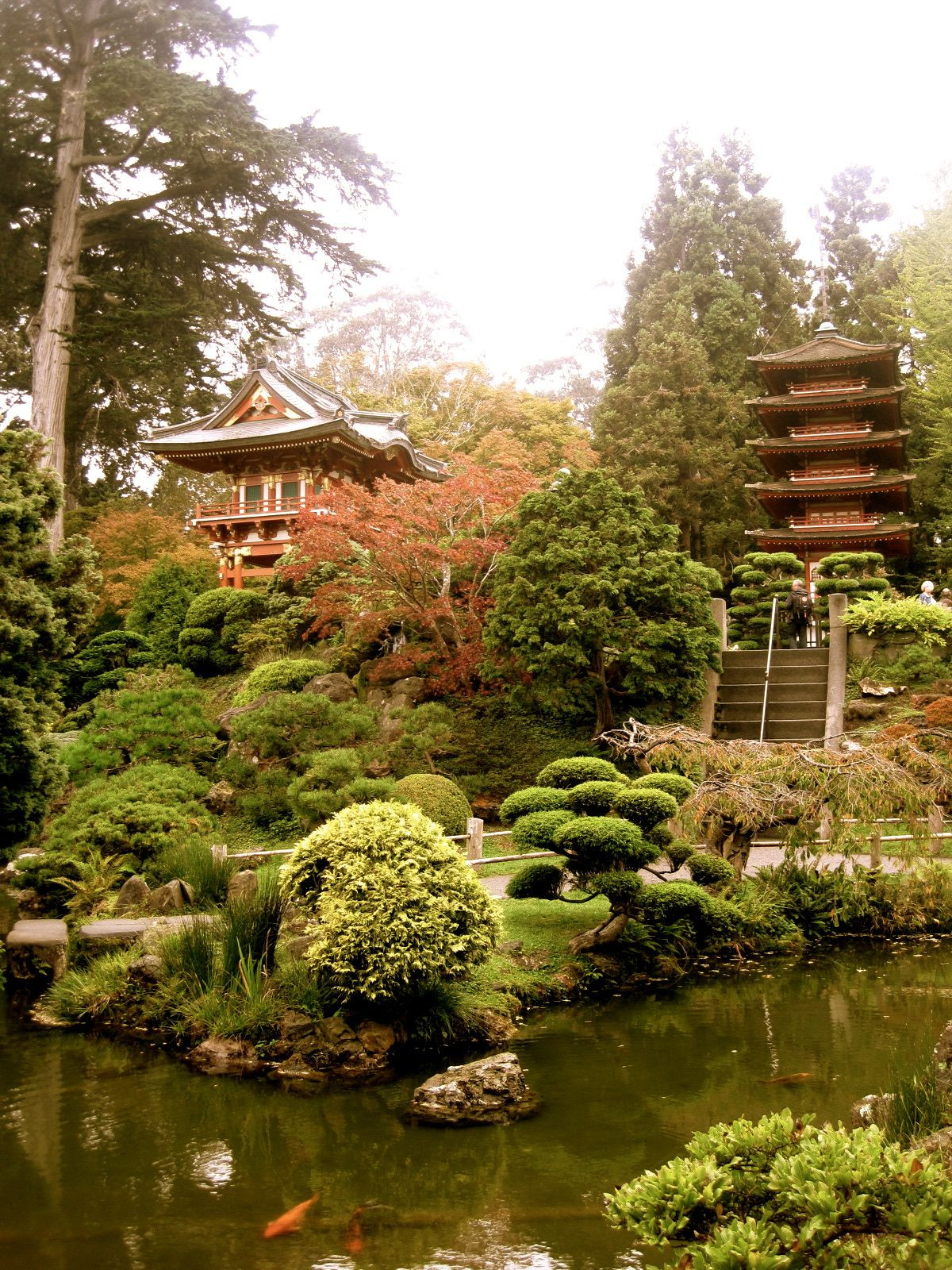 Landscape Design San Francisco
 Japanese Tea Garden San Francisco