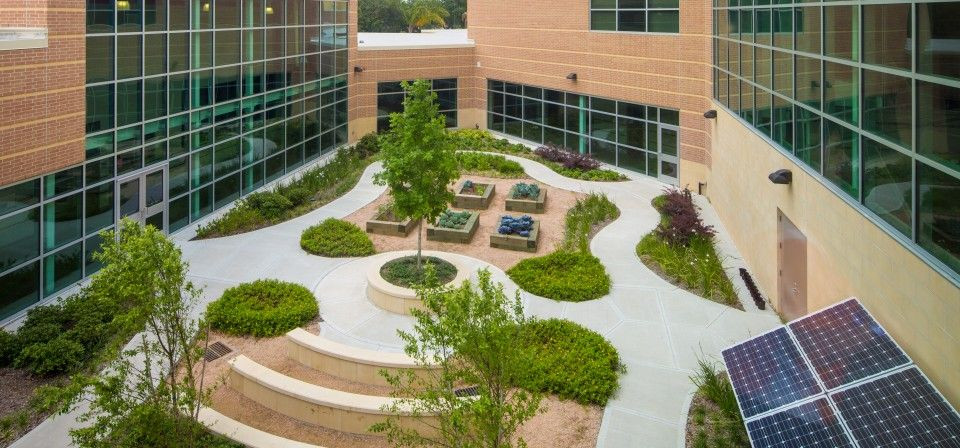 Landscape Design Schools
 Image result for elementary school Landscape architect